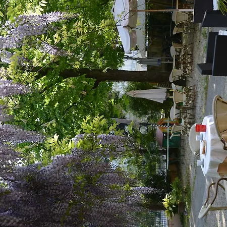 Roxy Floridiana Hotel 3*