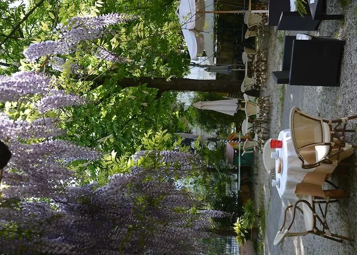 Roxy Floridiana Hotel 3*